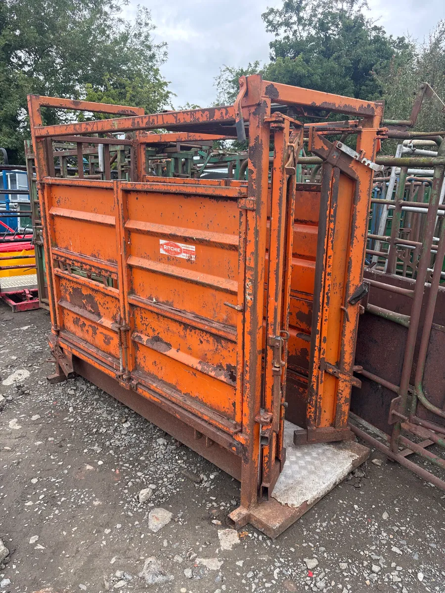 Ritchie cattle crush - Image 1