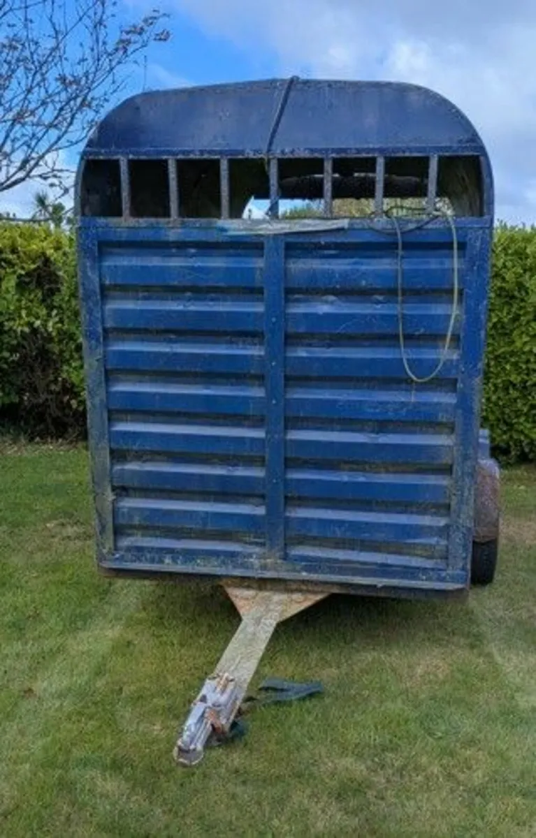 Cow box - Image 2