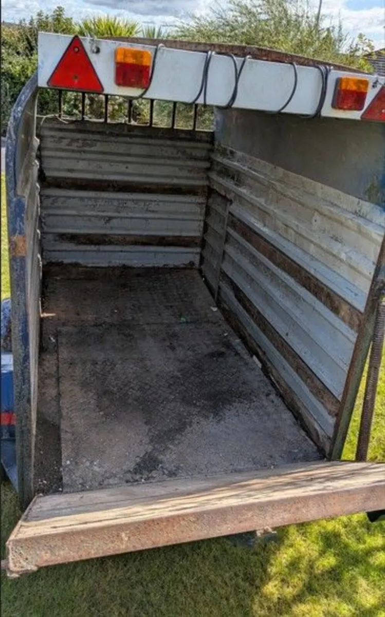 Cow box - Image 3