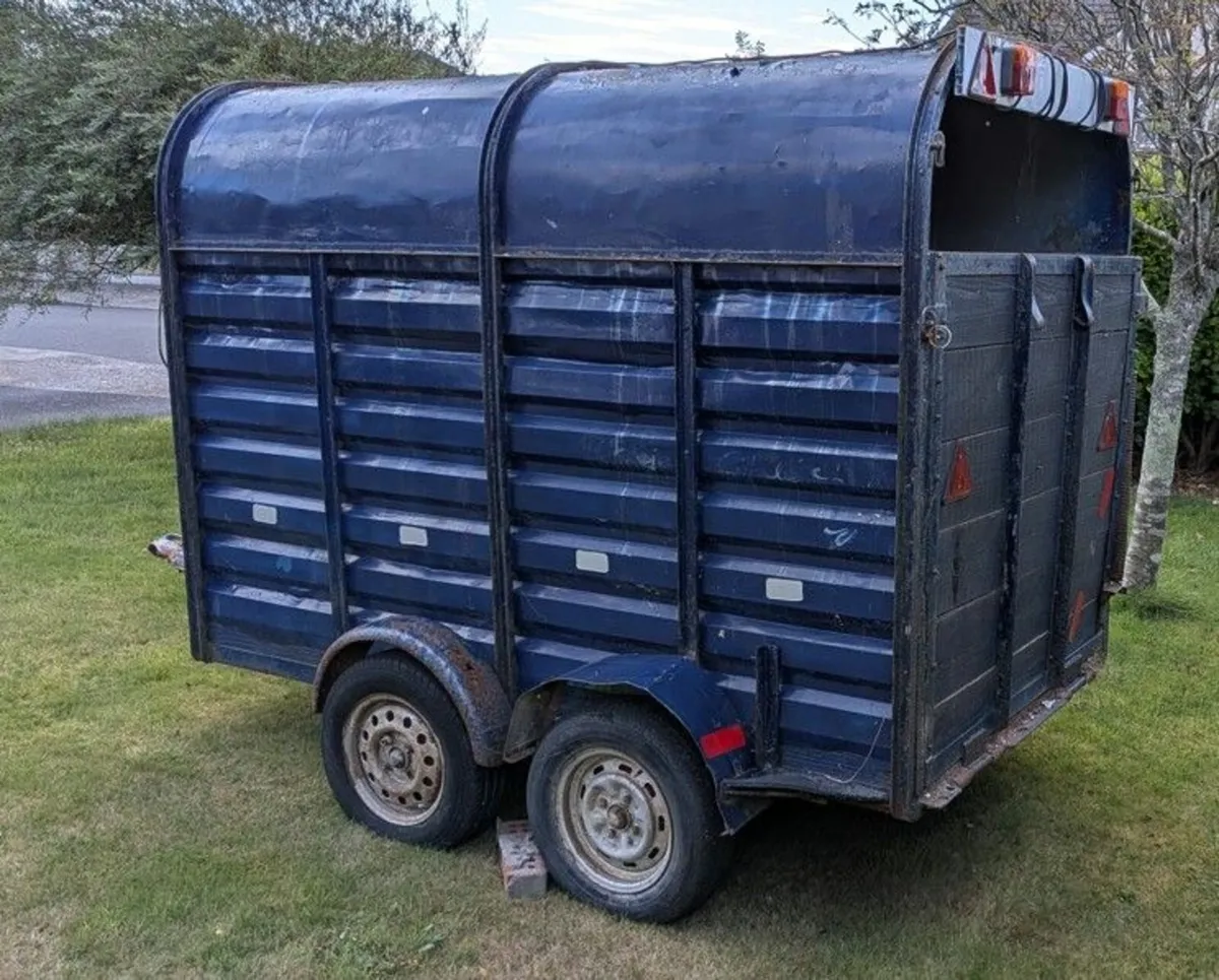 Cow box - Image 1