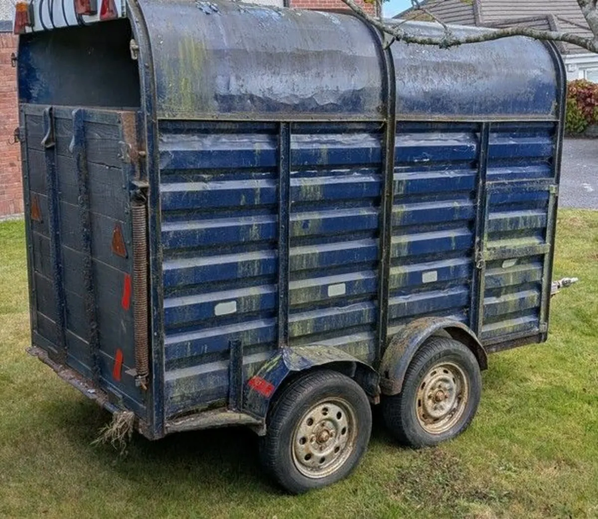 Cow box - Image 4