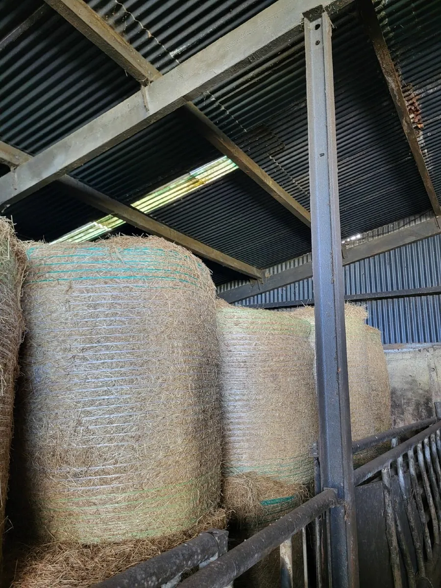hay bales - Image 2