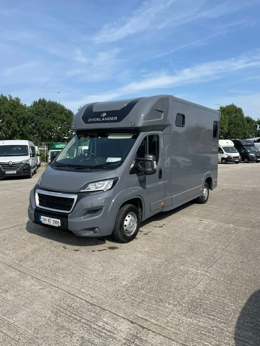 OVERLANDER horsebox R240 low mileage - Image 3