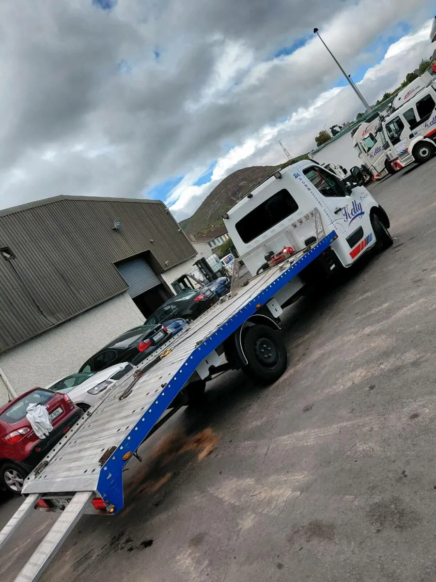 NISSAN INTERSTAR BEAVERTAIL - Image 2