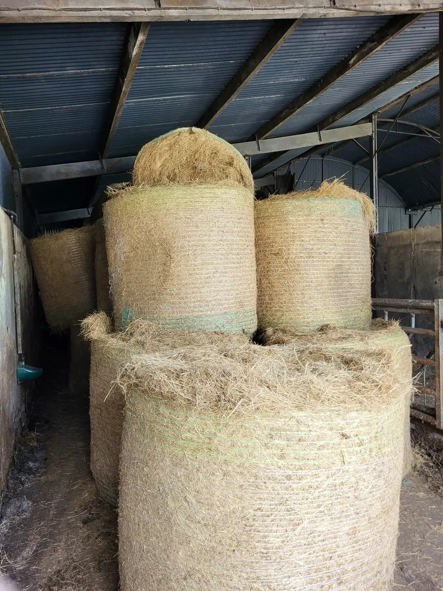 hay bales - Image 1