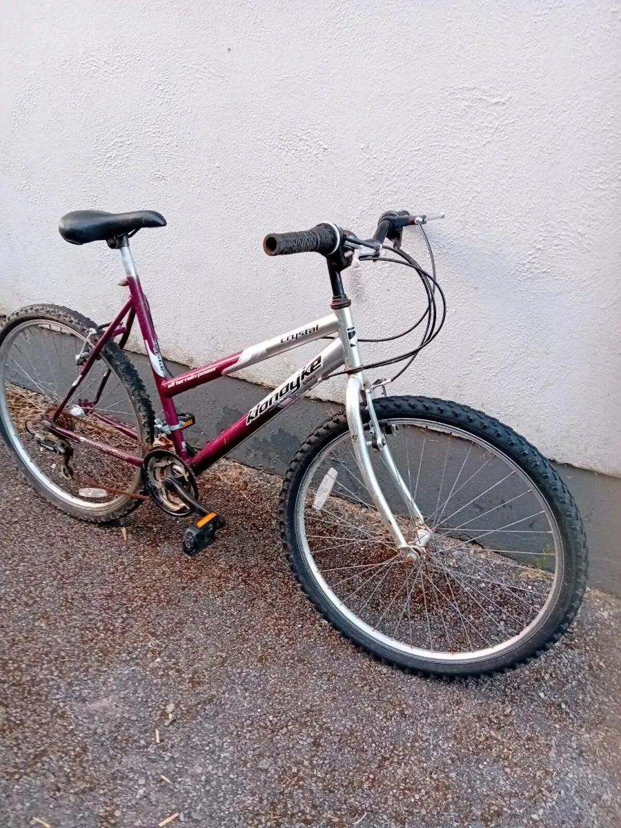 Adult bike - Image 2