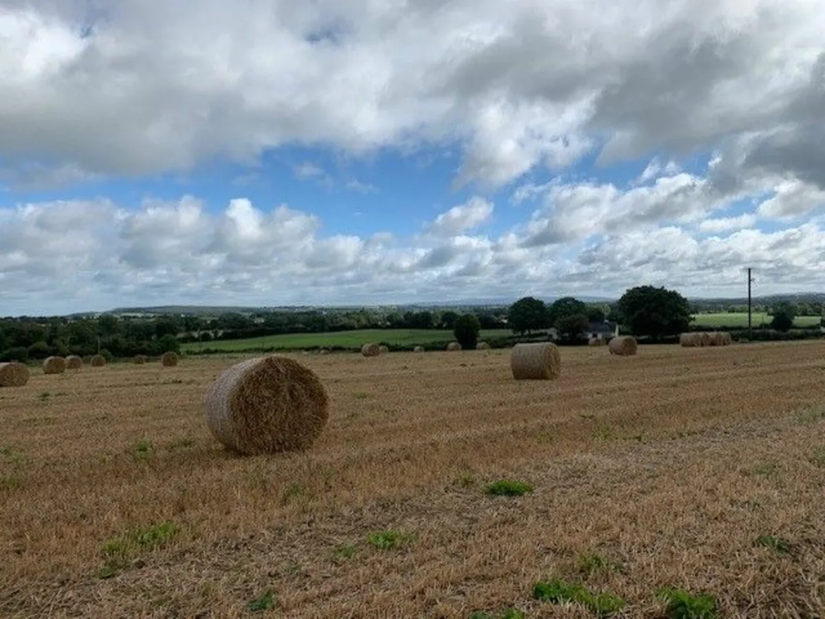 Tillage Lands Ballycapple, Cloughjordan - Image 2