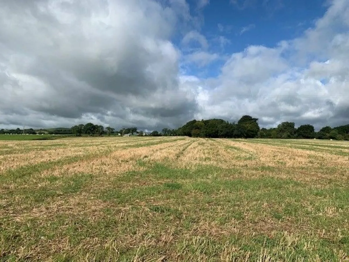 Tillage Lands Ballycapple, Cloughjordan - Image 3