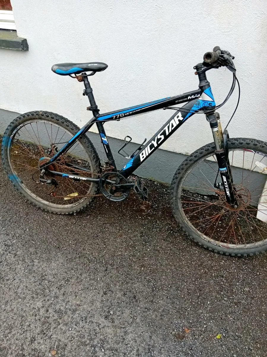 Adult bike - Image 1