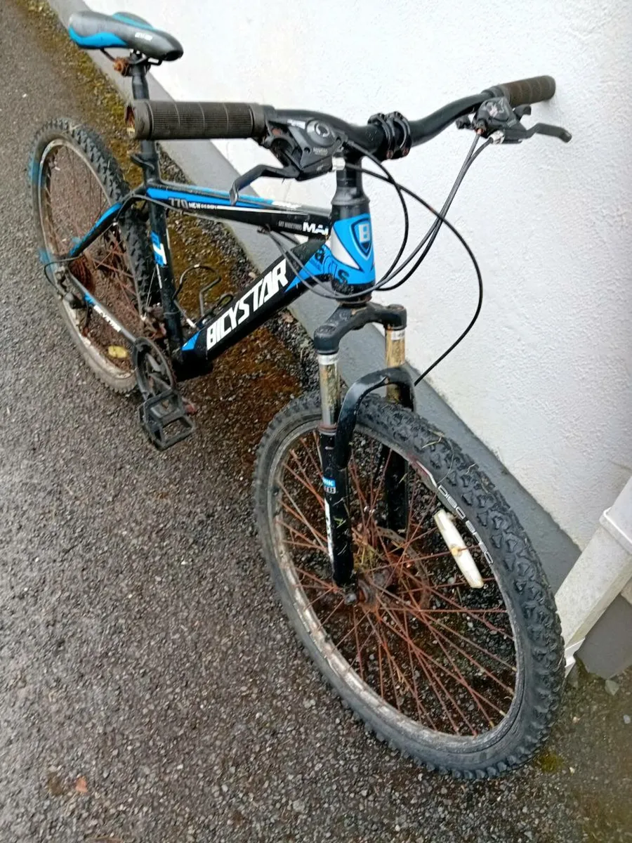 Adult bike - Image 2