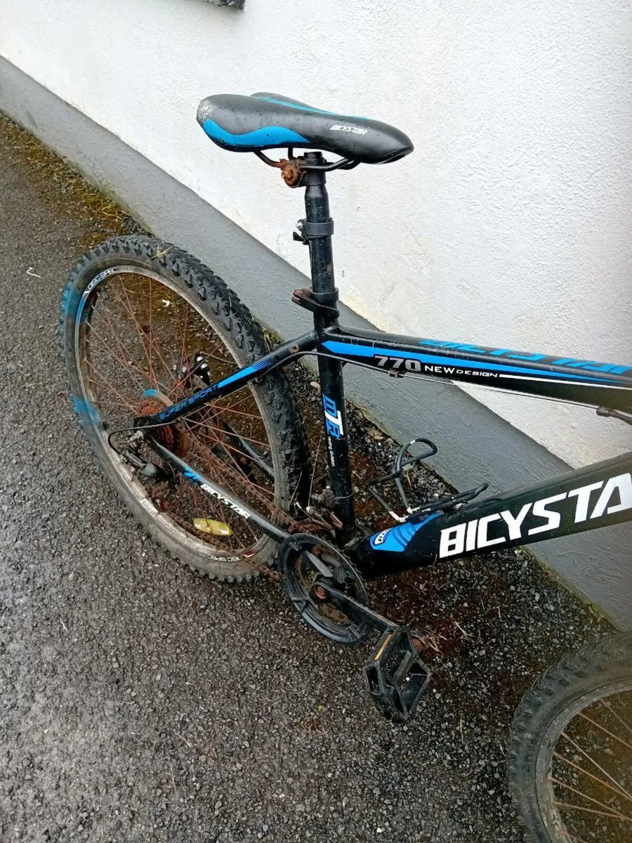 Adult bike - Image 3
