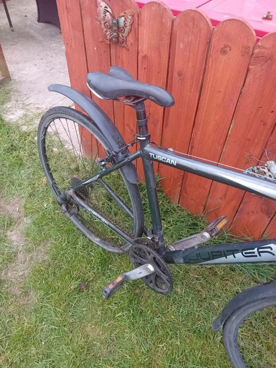 Adult bike - Image 2