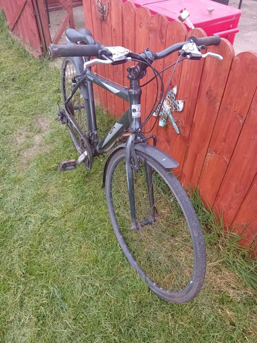 Adult bike - Image 3