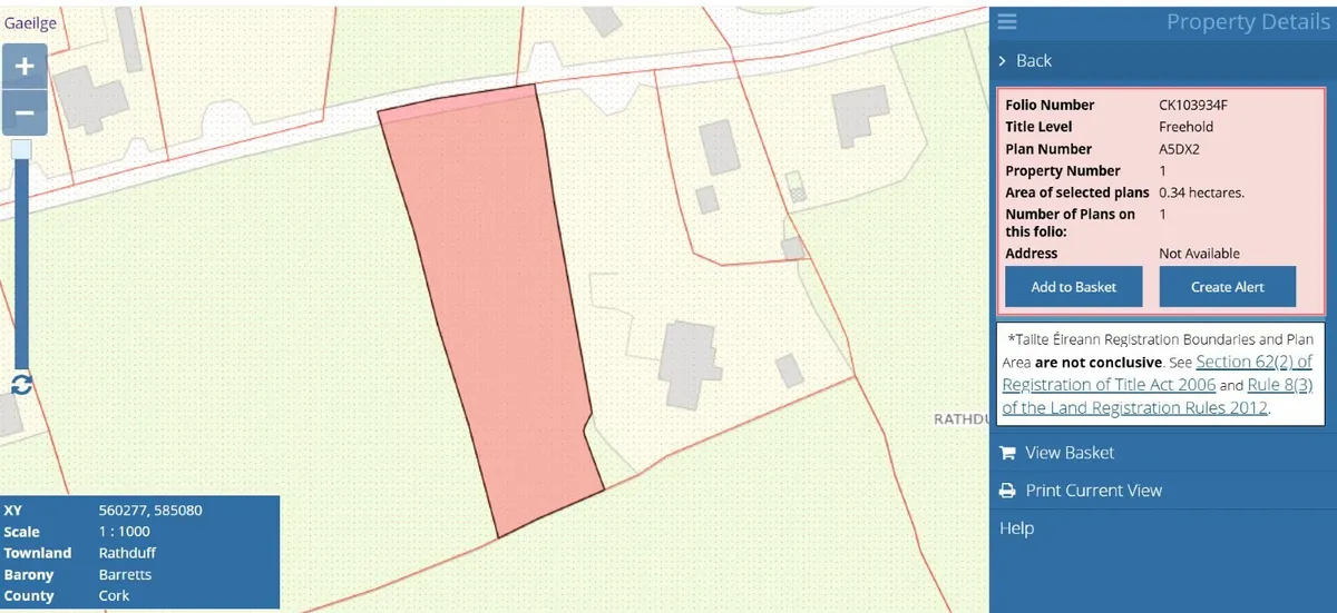 Site