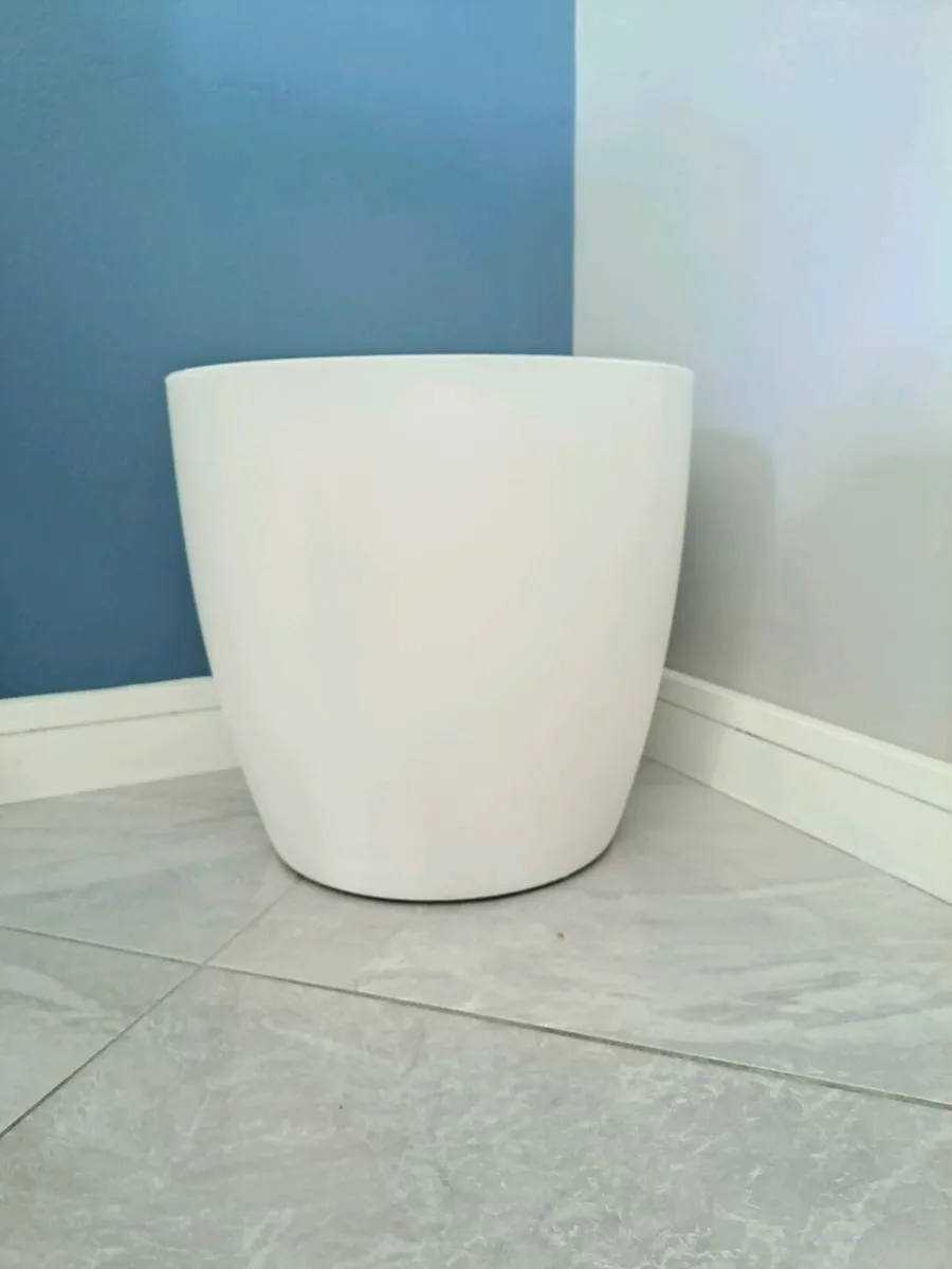 Large white Planter wheels indoor houseplant - Image 1