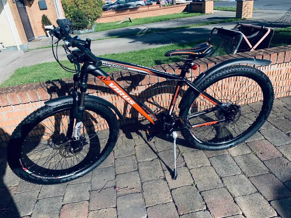 Adult Bike