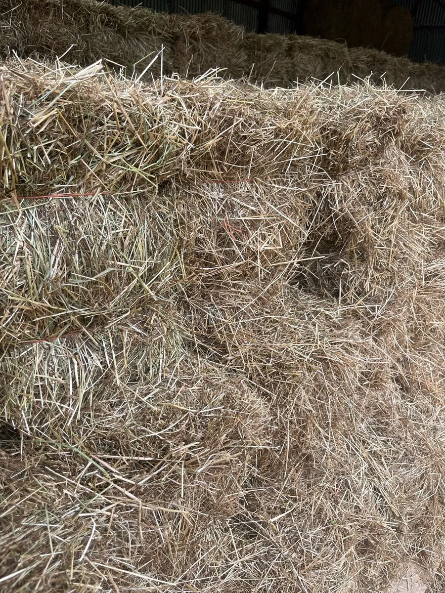 Small square hay - Image 3