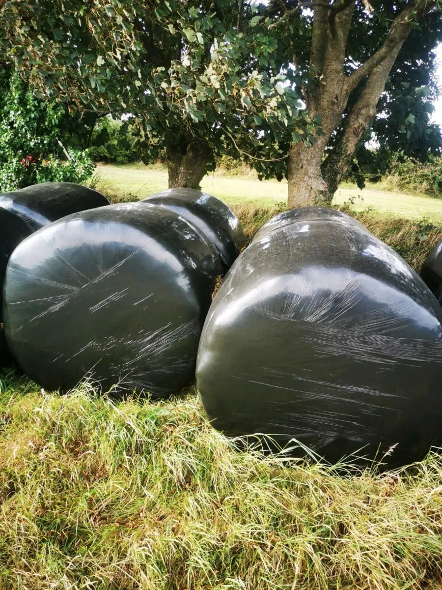 Haylage - Image 1