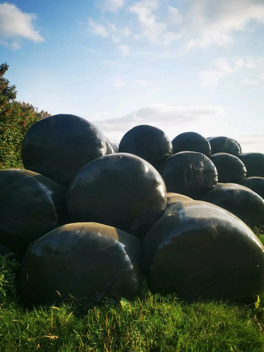 Haylage - Image 2