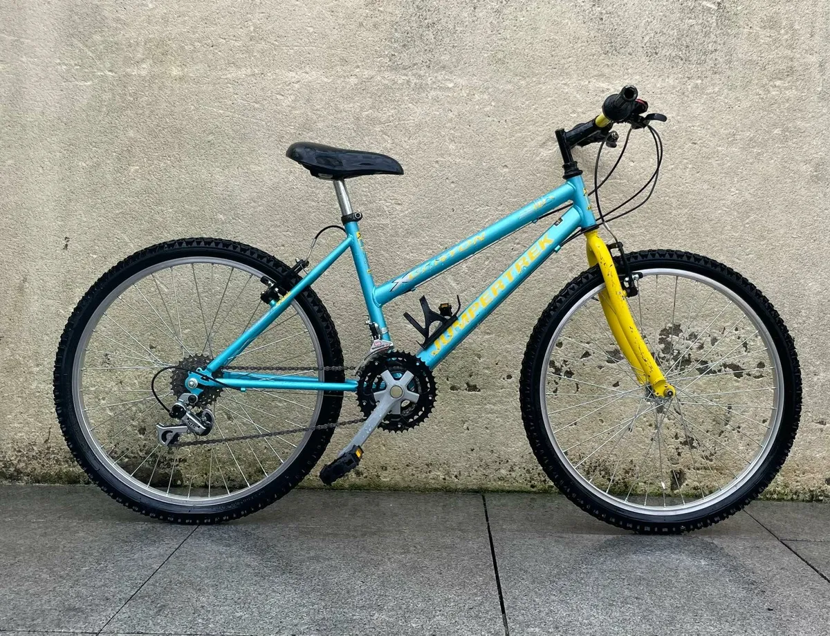 Bicycle 24" wheels (fully serviced) - Image 1
