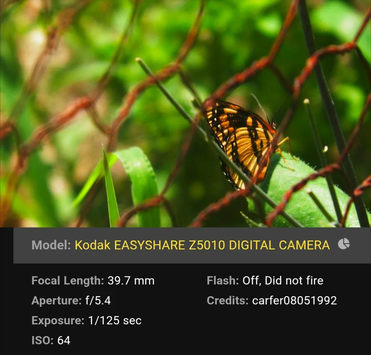 Kodak 14 MP CCD🌈 superzoom 21x Schneider lens - Image 2