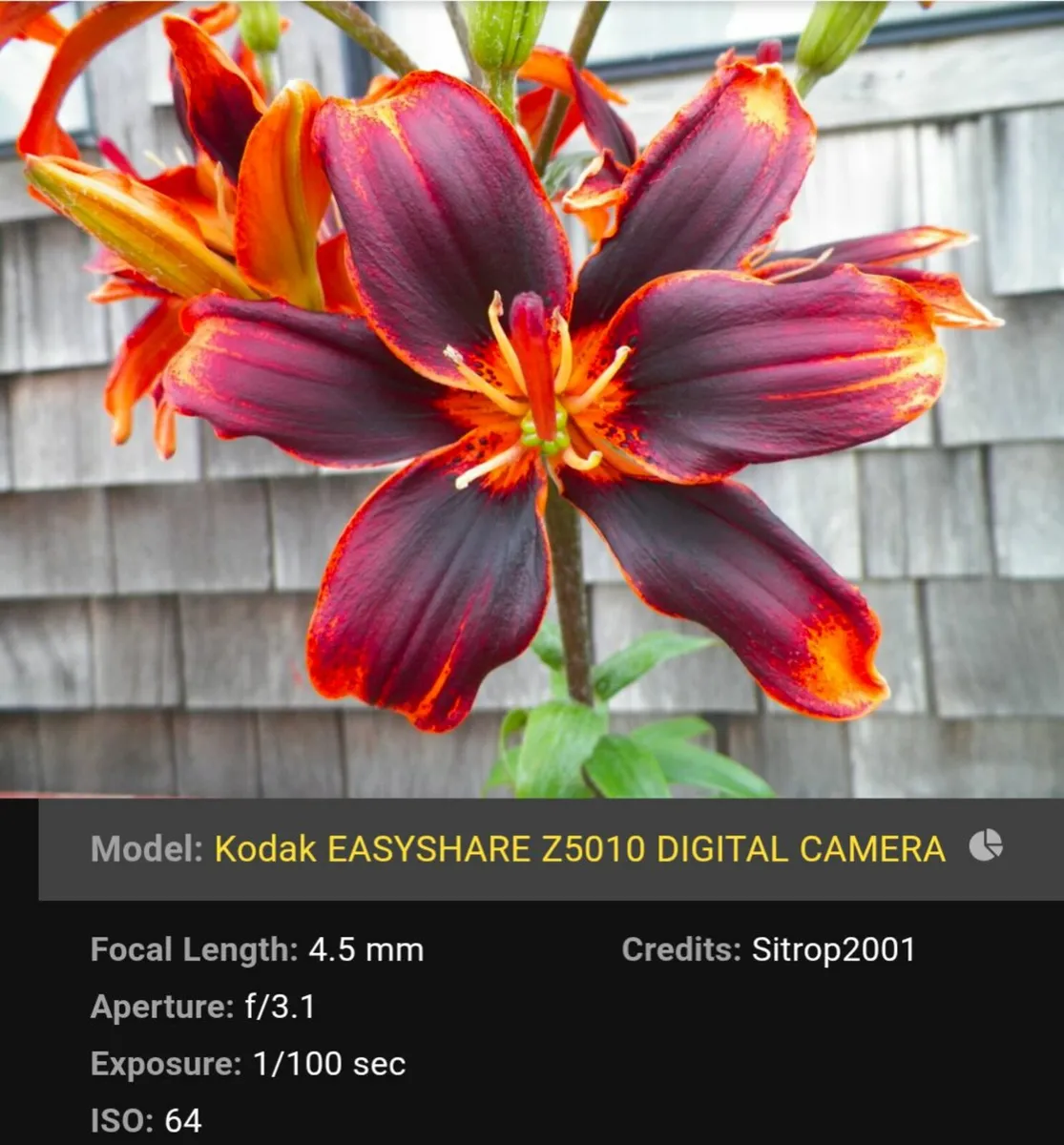 Kodak 14 MP CCD🌈 superzoom 21x Schneider lens - Image 4