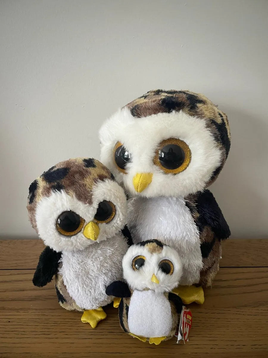 Owl Beanie Boo Teddies
