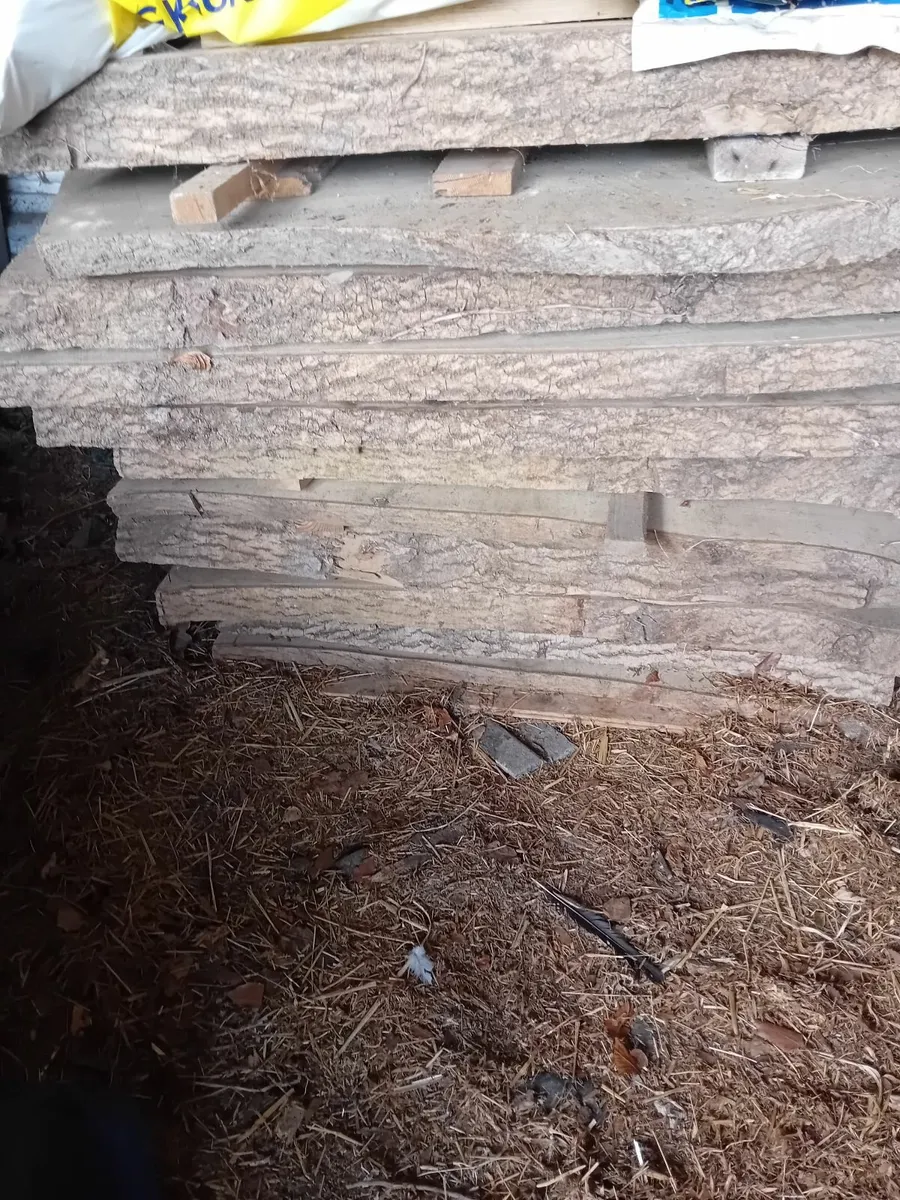 17 planks of Ash Timber - Image 1