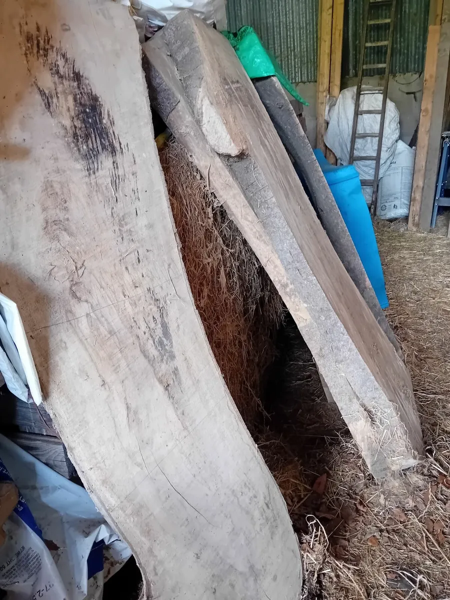 17 planks of Ash Timber - Image 2
