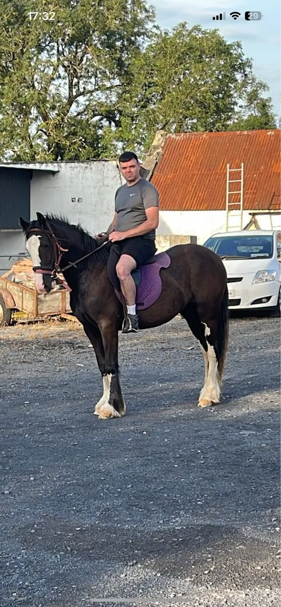 14/2 cob ride and drive 2 make 15h - Image 1