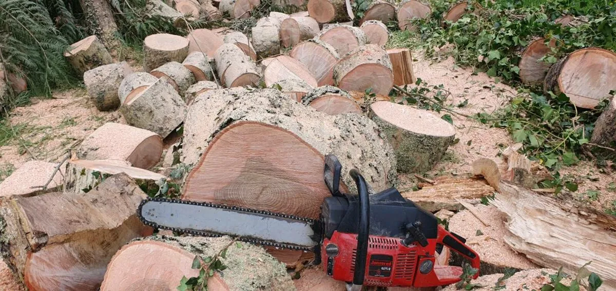 Chainsaw - Image 1
