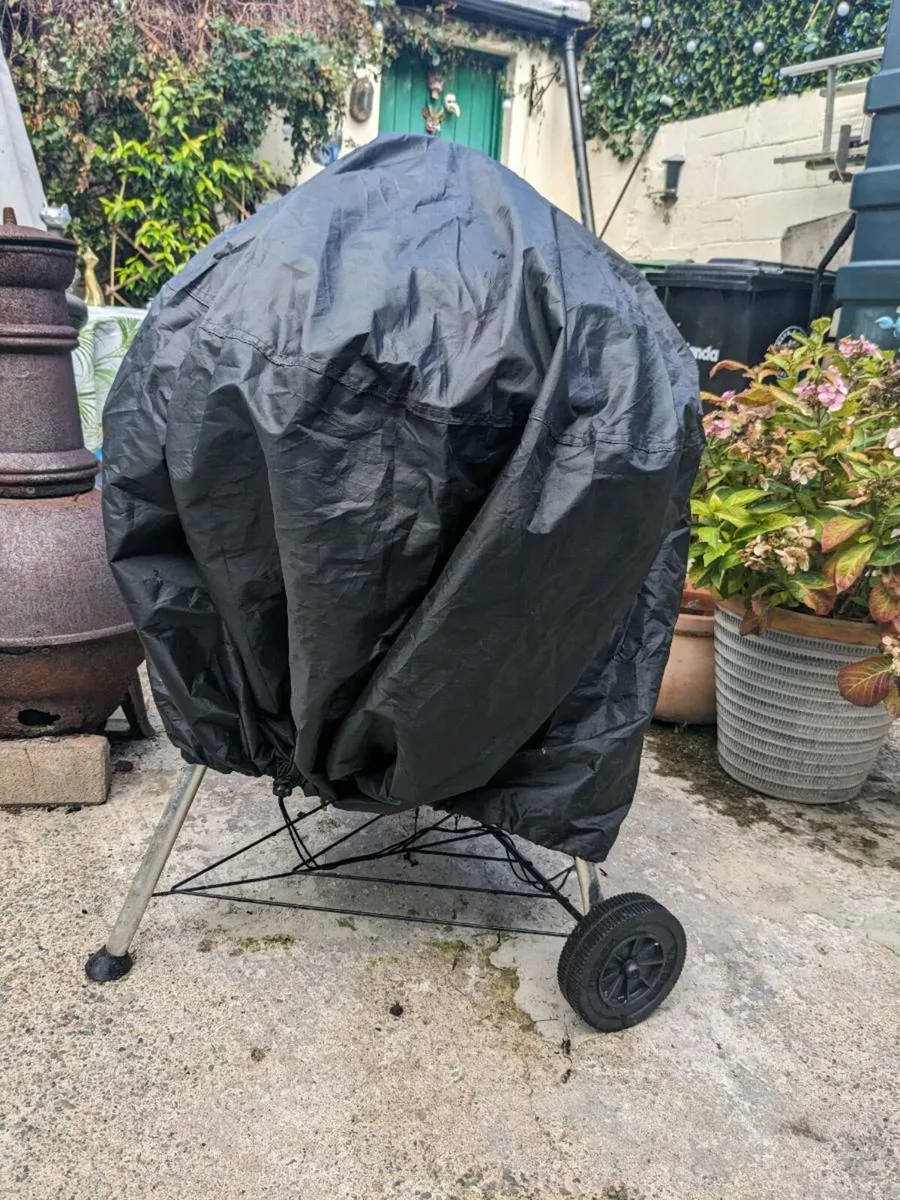 Weber kettle - Image 2