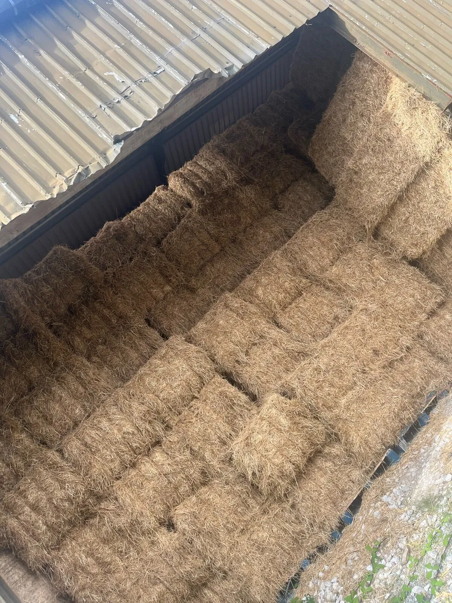 All types of hay for sale - Image 4
