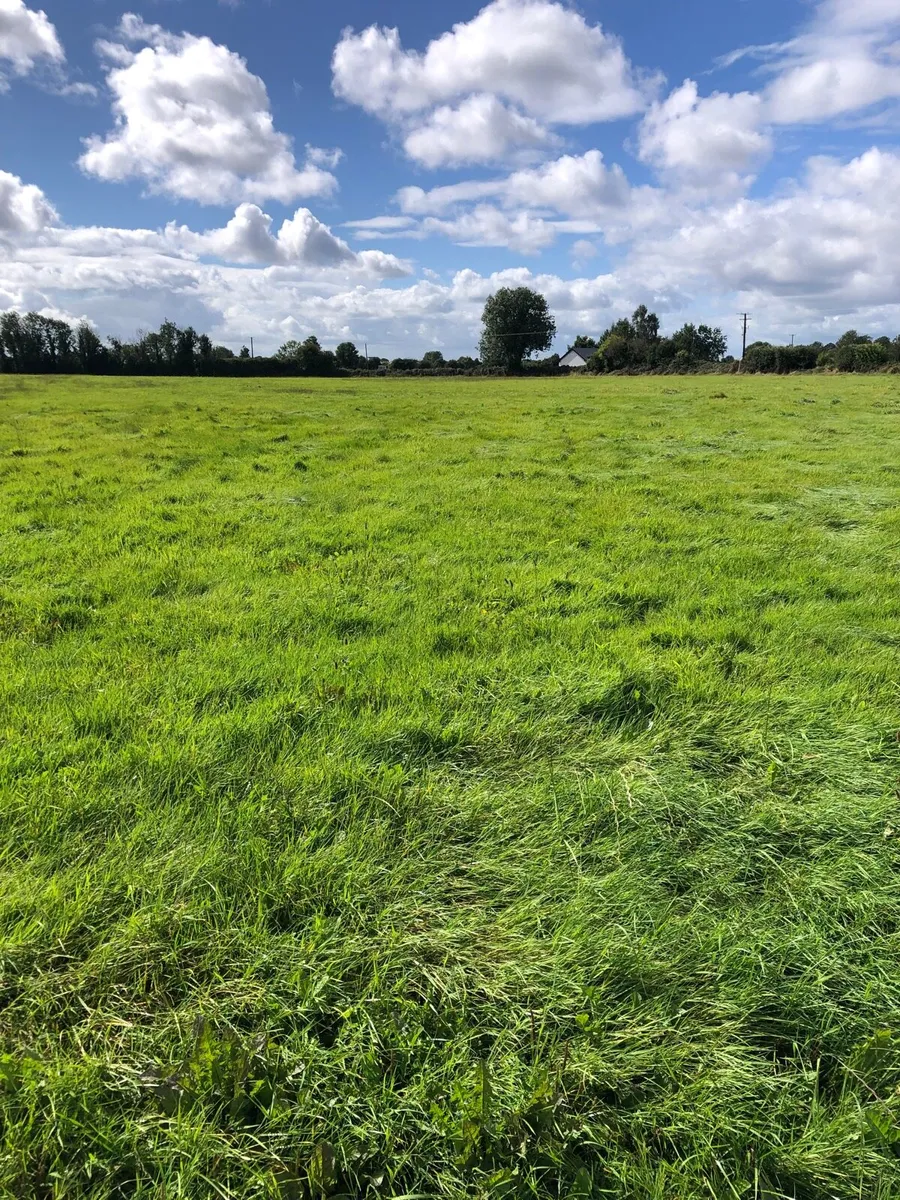 12 Acres Zero Grazing Pasture - Image 1