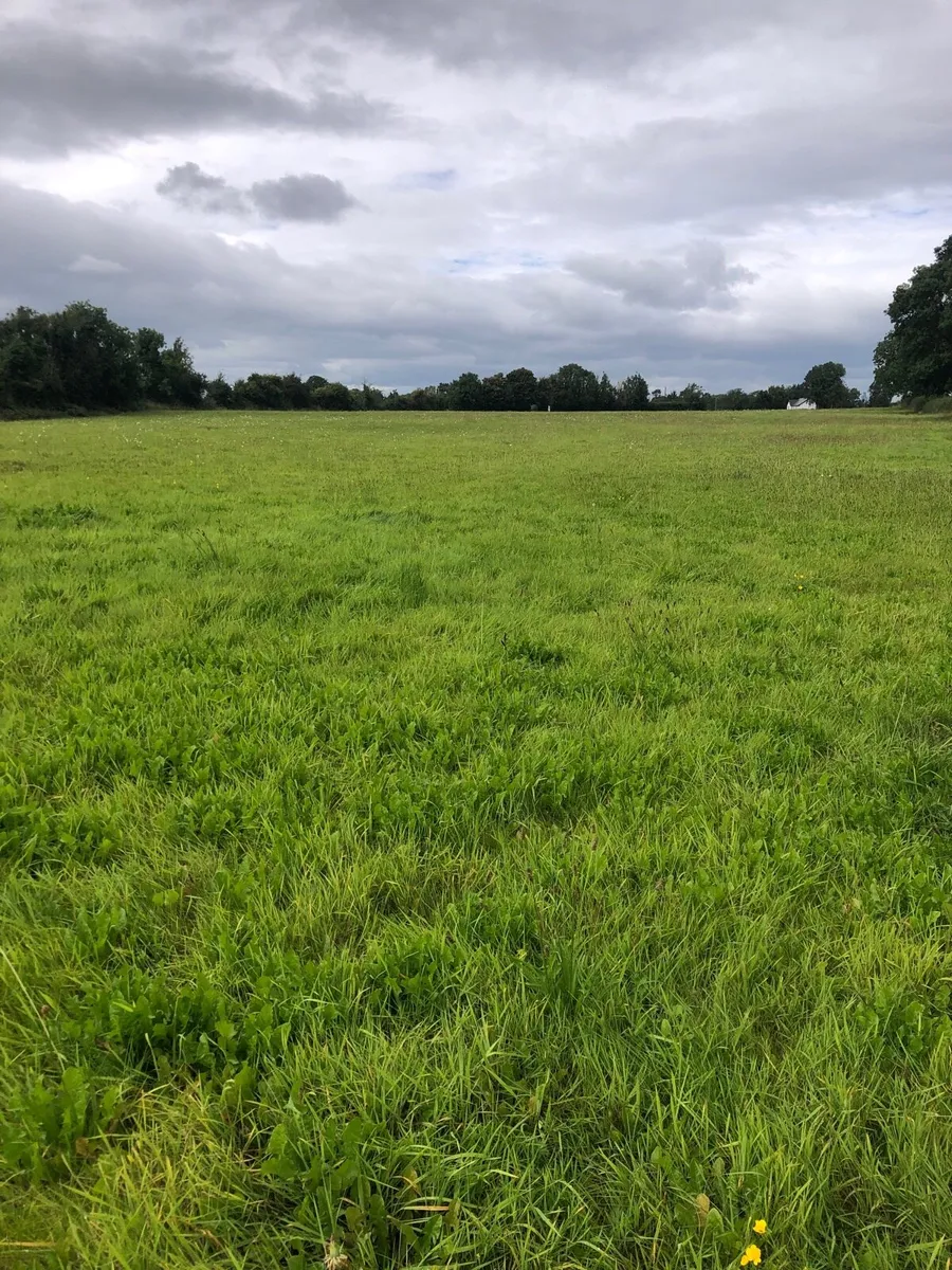 12 Acres Zero Grazing Pasture - Image 2