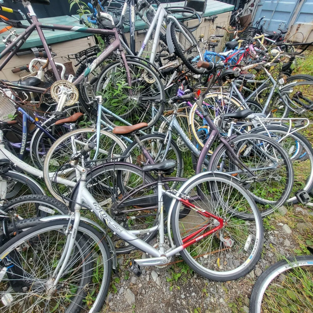 Job lot of bikes - Image 1