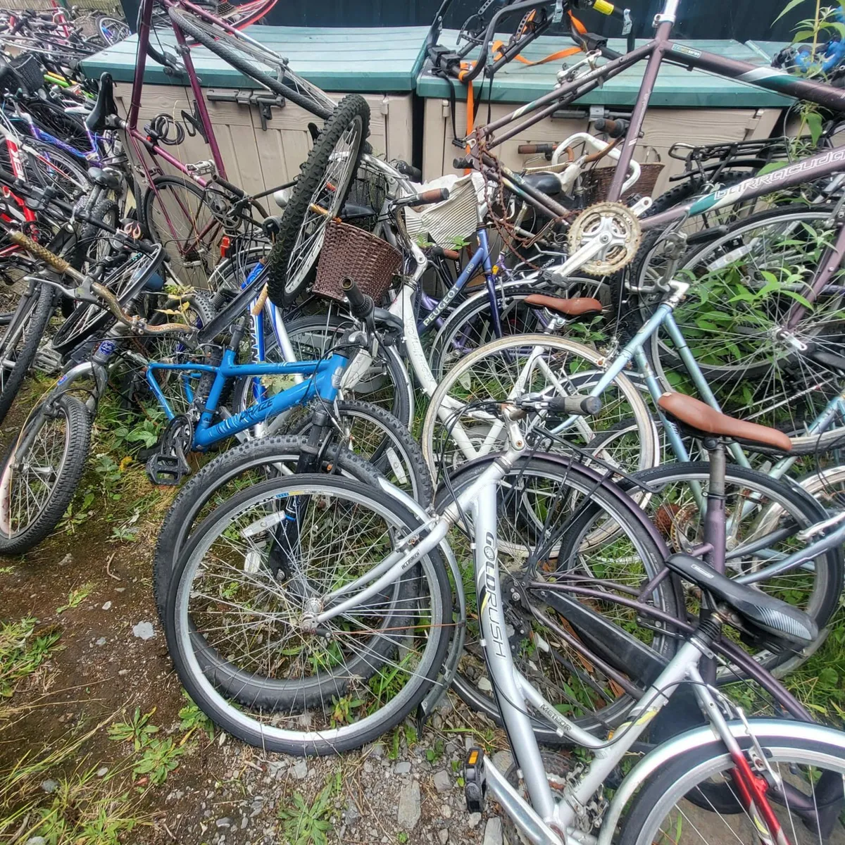 Job lot of bikes - Image 2