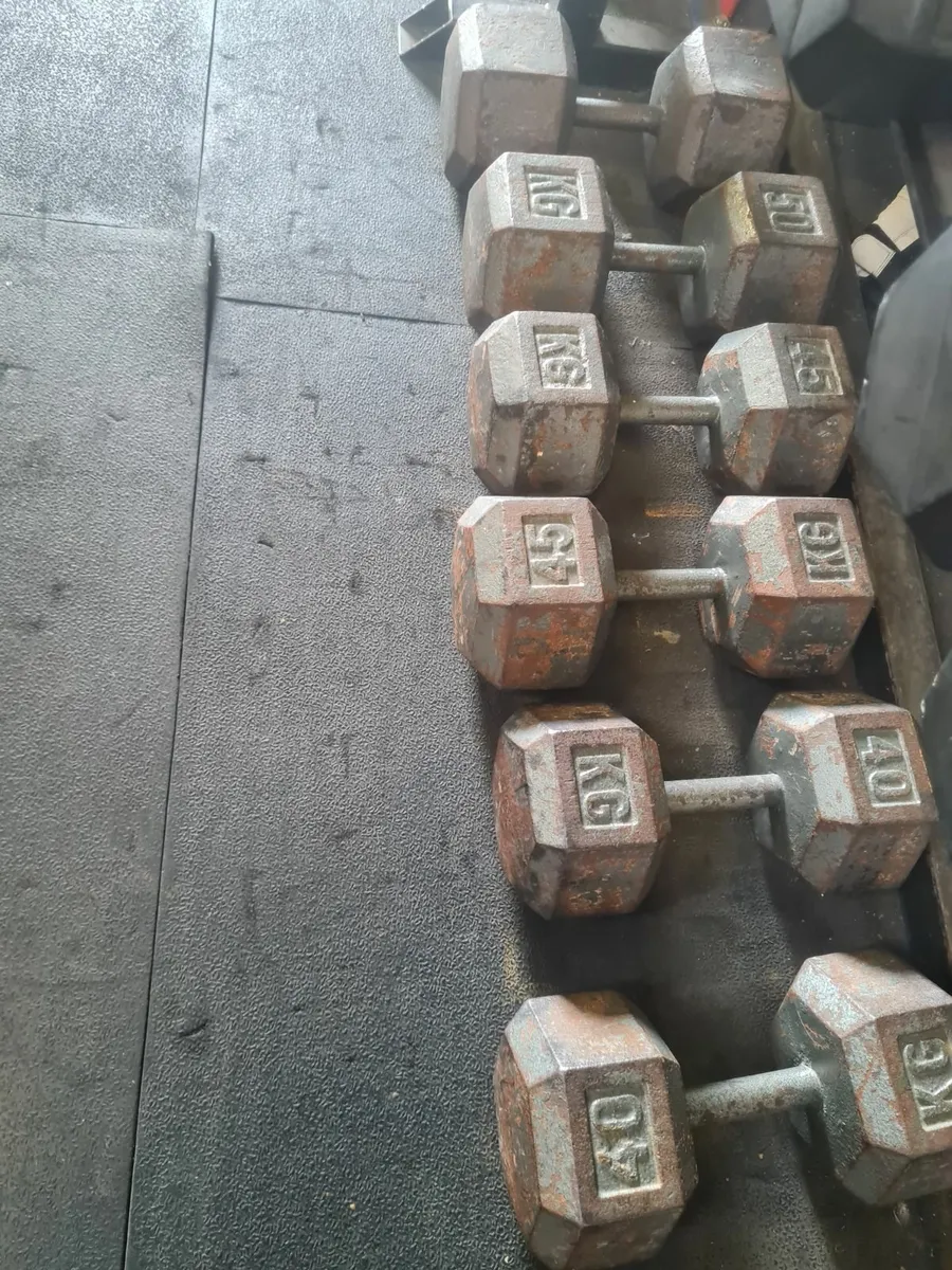 Hex Dumbbells €600 for the lot. €50price drop