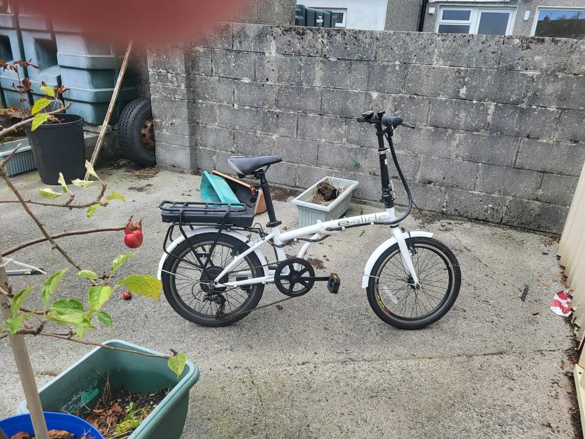 Electric assist bicycles - Image 4