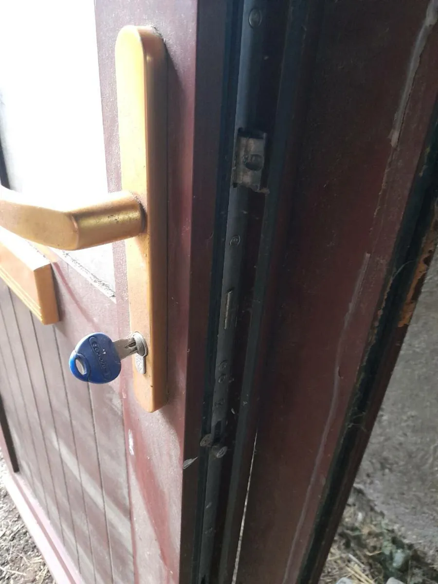 Door for sale - Image 4