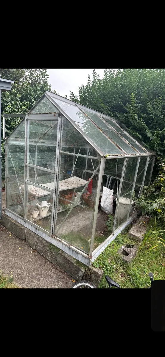 6x8 Halls greenhouse