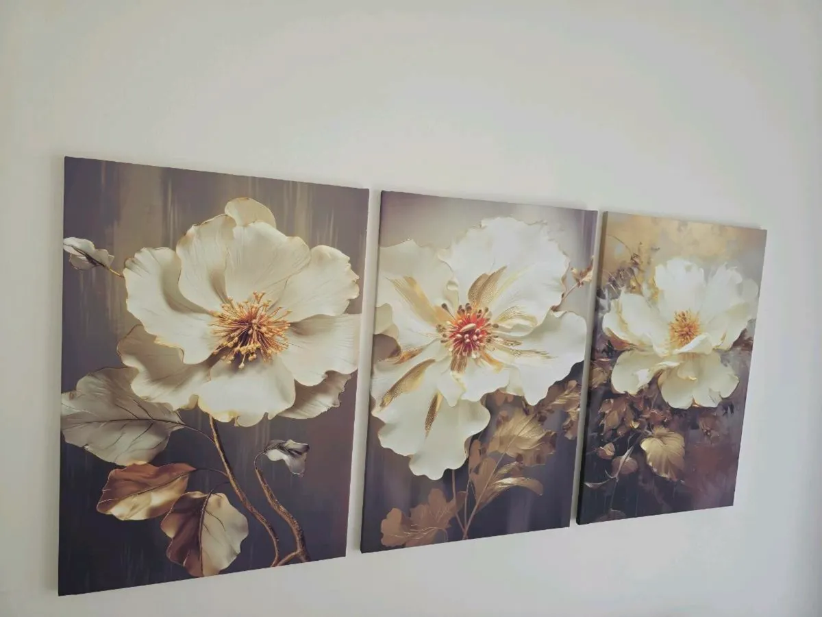 3 canvas 70 cm x 45 cm