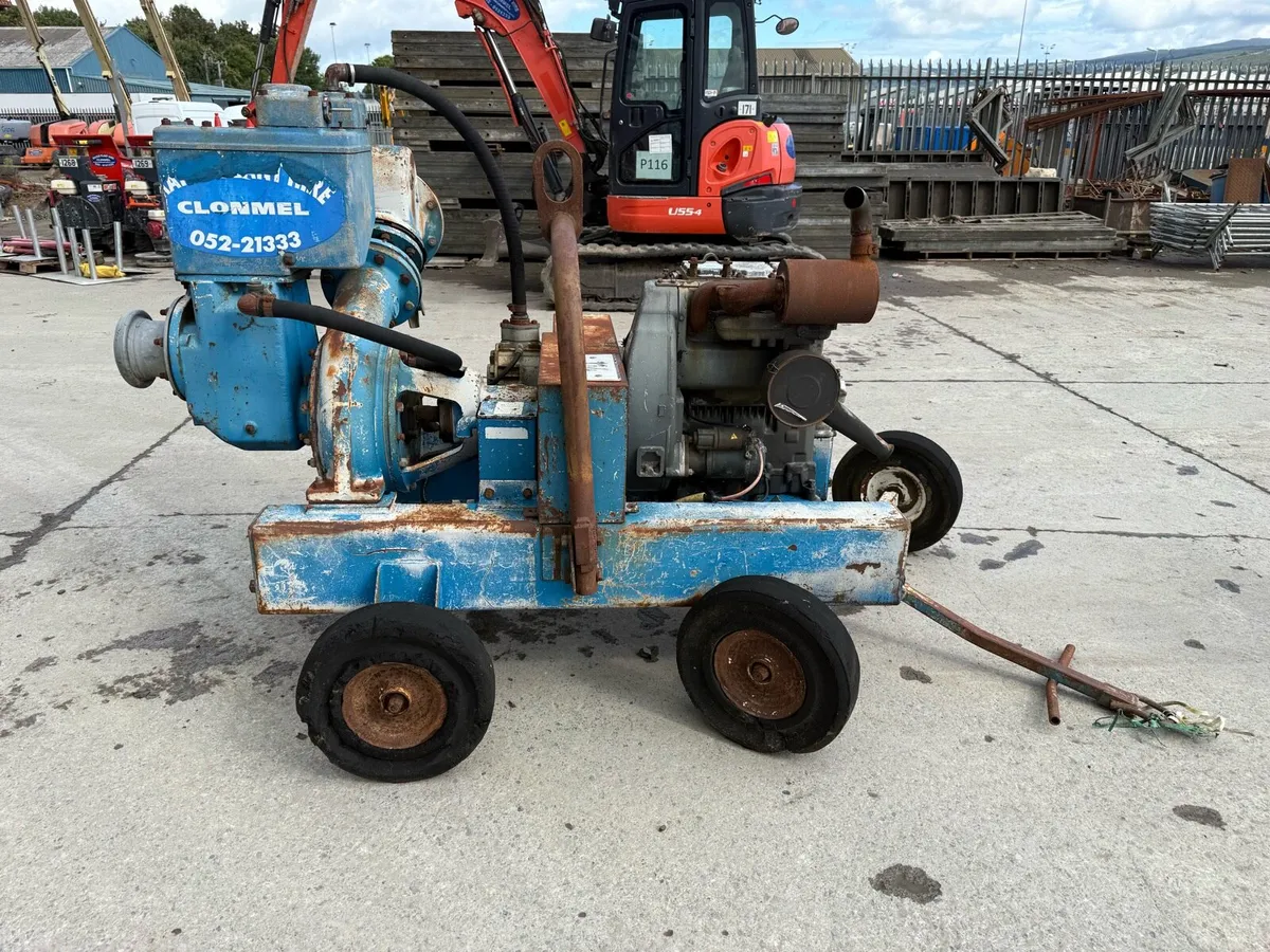 Sykes pumps - Image 2