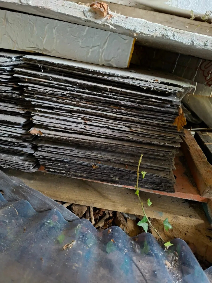 Bangor Blue Slates - Image 1