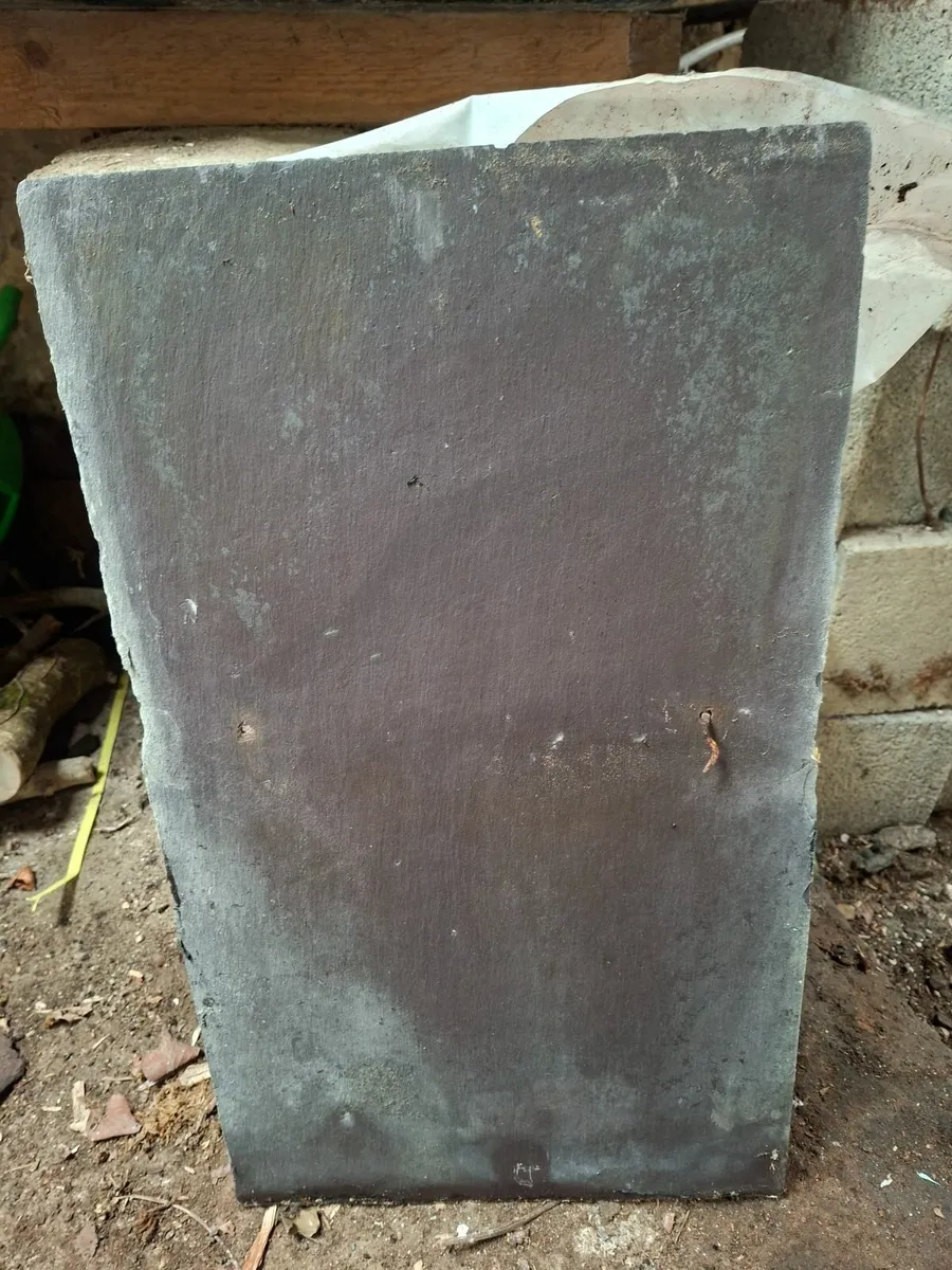Bangor Blue Slates - Image 3