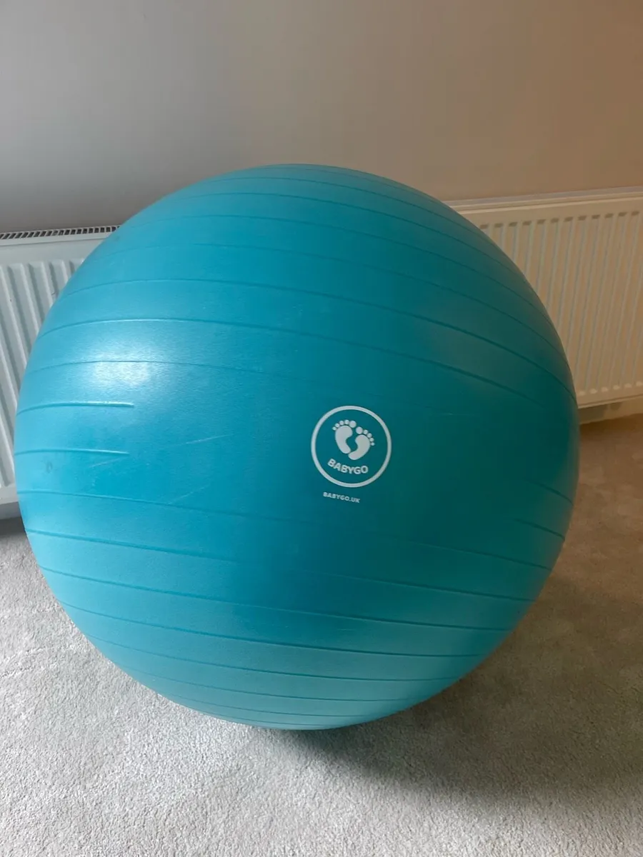 Babygo Pregnancy Ball Exercise ball - Image 1