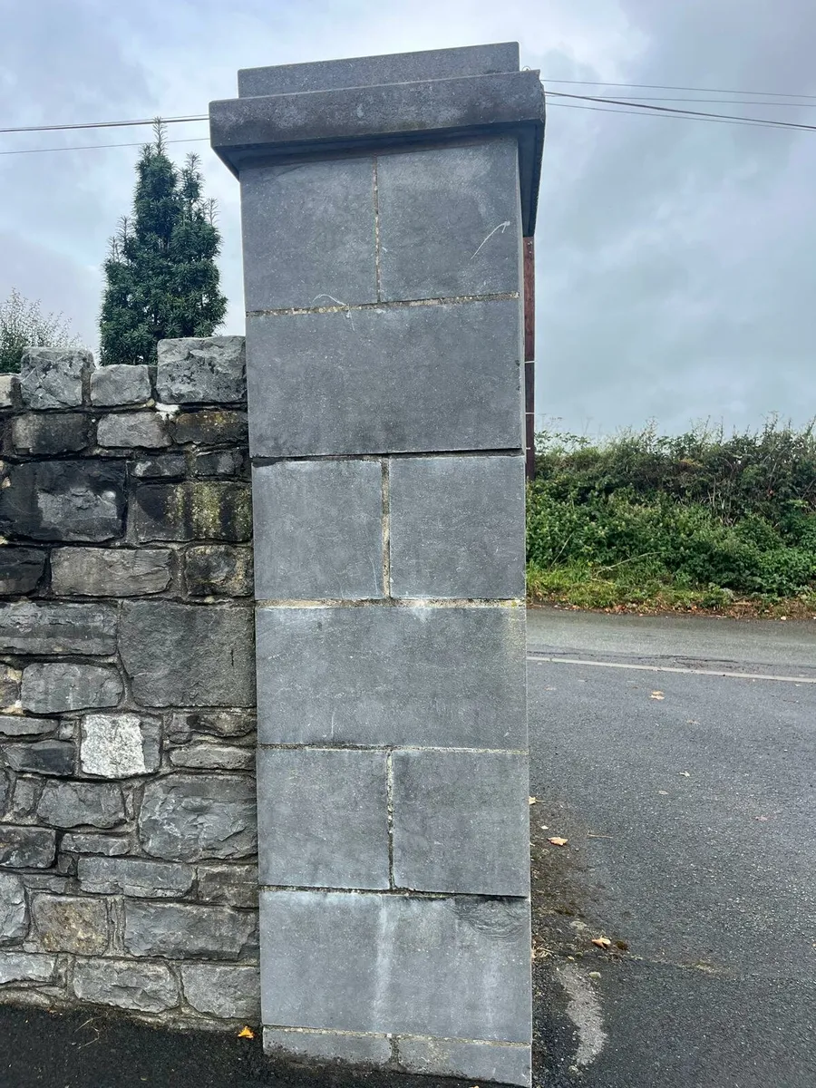 Limestone pillars
