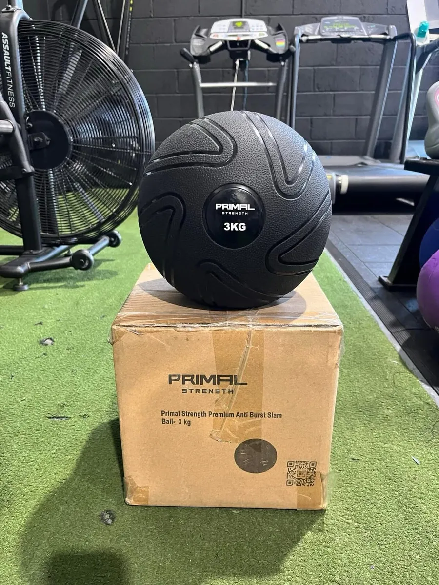 Half Price Primal Med/Slam Balls - Image 1