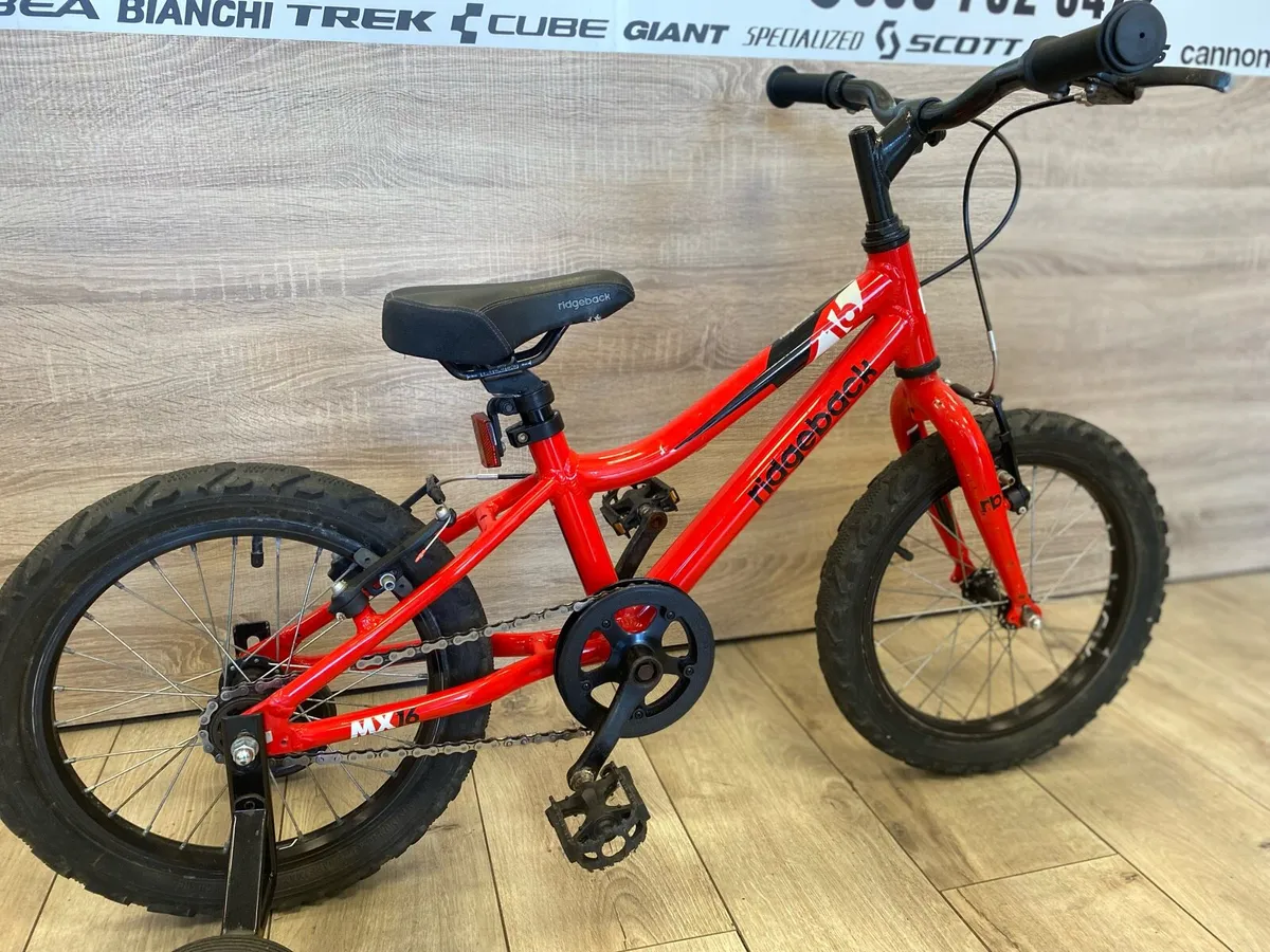 Ridgeback 16 - Image 3