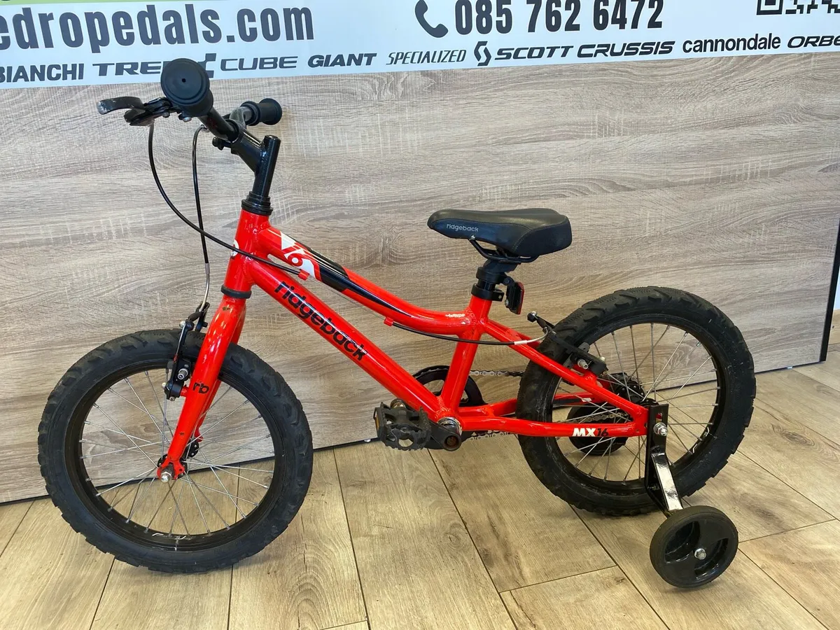 Ridgeback 16 - Image 4